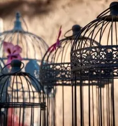 bird cages or bird homes in dubai