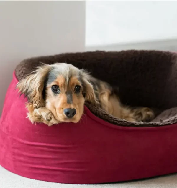 dog bed & basket dog bedding