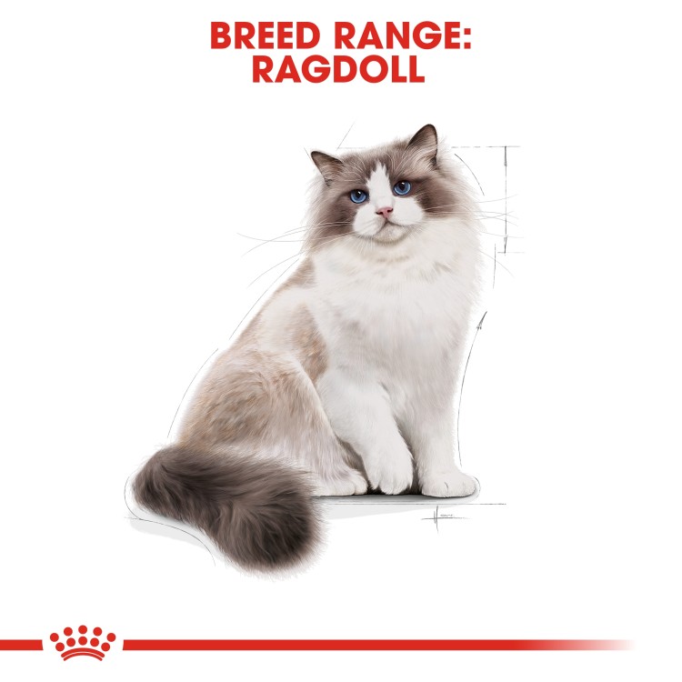 Feline Breed Nutrition Ragdoll Adult 2 kg-1