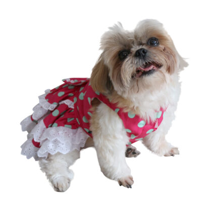 pretty-dog-dress-polka-dot-D347-DOG1