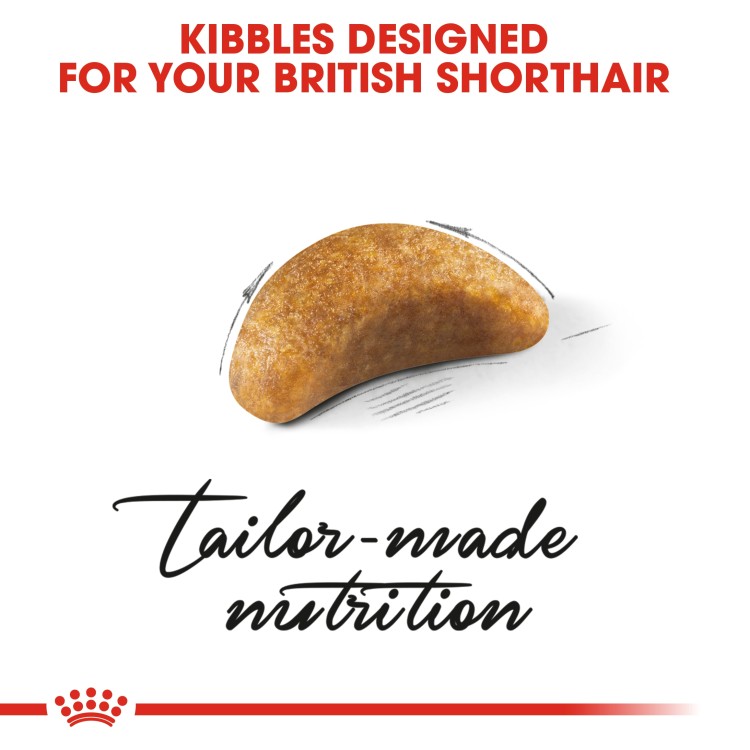 Feline Breed Nutrition British Shorthair Kitten 2 kg-6