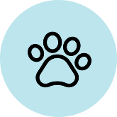 Paws