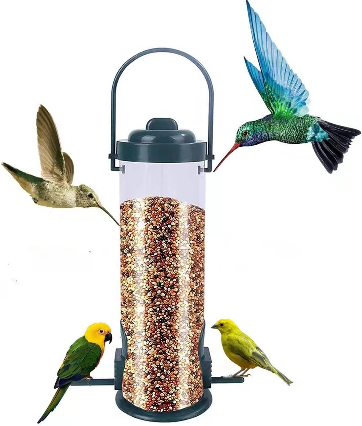 bird feeder